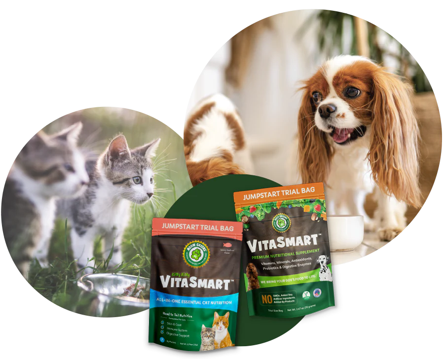 Unleash Your Dog's Natural Vitality